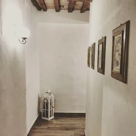 In Centro 招待所 古比奥